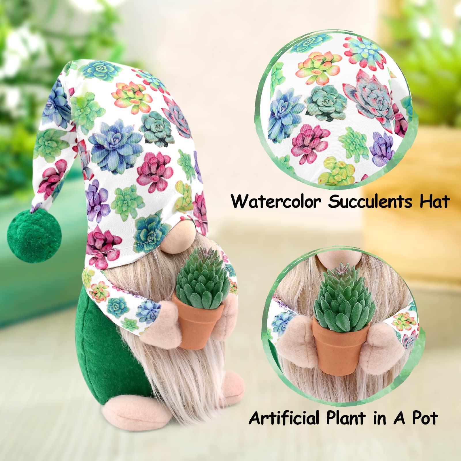 Amazon.co.jp: 多肉植物 ノーム サボテン 植物 ノーム 装飾